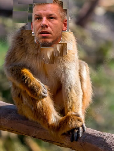 beteg m&eacute;regt&ouml;rpe